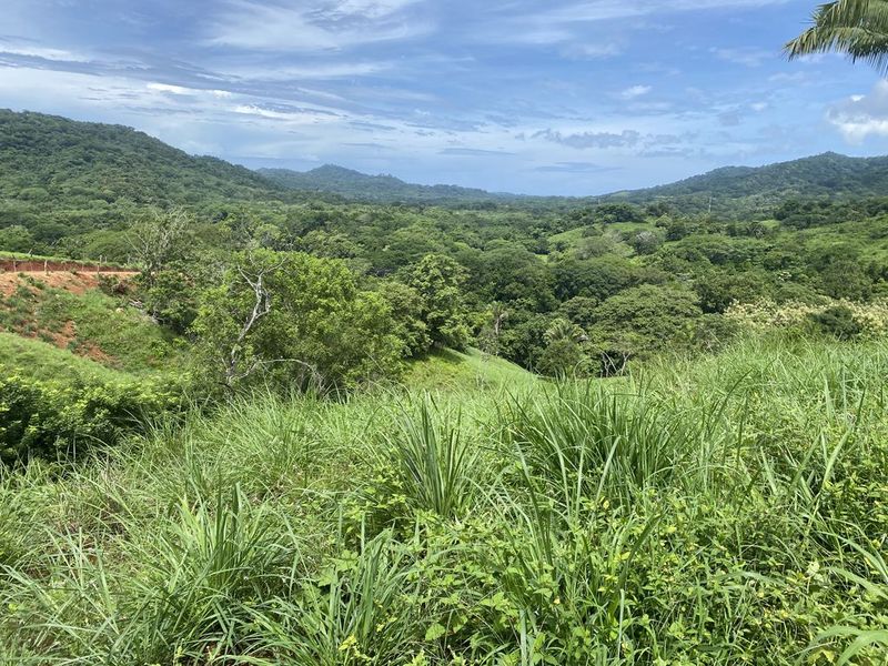 grassy area and moutains views from Finca rio el carmen land for sale samara costa rica