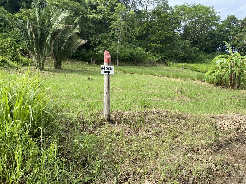 post indicating the limit of lotes cuatro y cinco land for sale samara costa rica