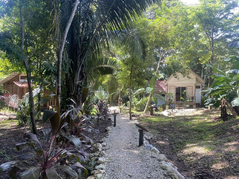 beautiful paths inside the holistic yoga retreat hotel for sale samara guanacaste costa rica
