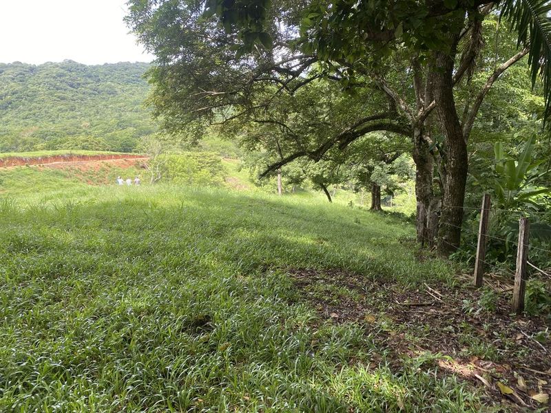 green area with fence at Finca rio el carmen land for sale samara costa rica