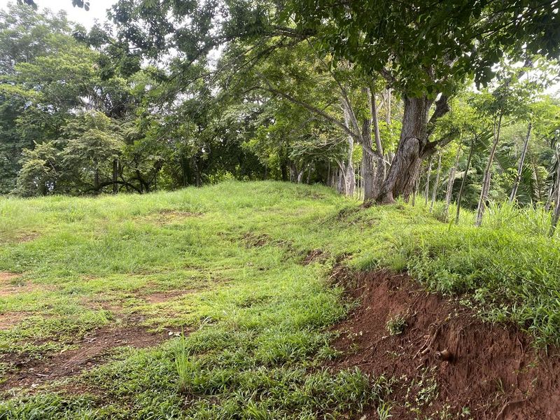 grass and soil of Finca rio el carmen land for sale samara costa rica