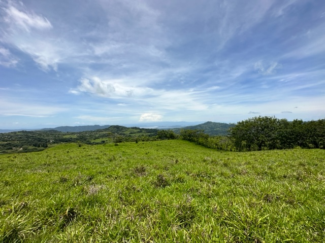 ocean and green area from Finca Monte Romo for sale at Hojancha Playa Carillo Guanacaste Costa Rica