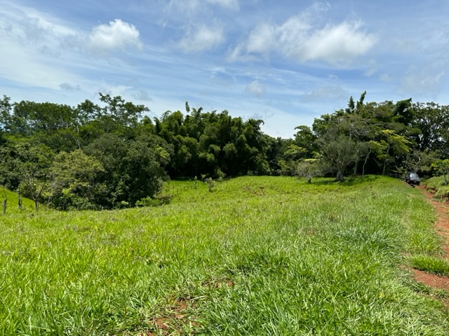 green area at Finca Monte Romo for sale at Hojancha Playa Carillo Guanacaste Costa Rica
