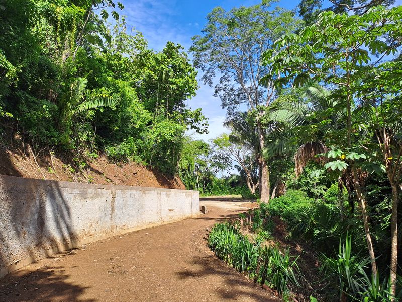 Drive way with wall Lot 14 land for sale samara costa rica