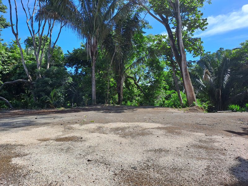 Building platform with palm trees Lot 14 land for sale samara costa rica