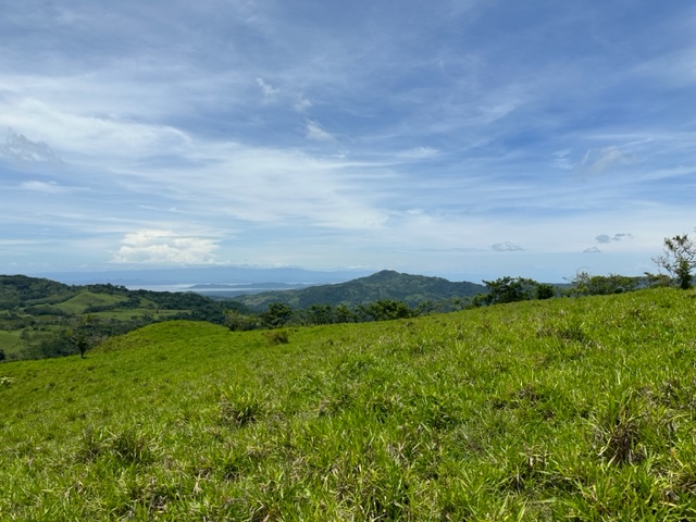 Green fields and ocean views from Finca Monte Romo for sale at Hojancha Playa Carillo Guanacaste Costa Rica