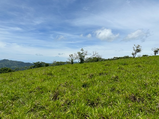 Green fields of Finca Monte Romo for sale at Hojancha Playa Carillo Guanacaste Costa Rica