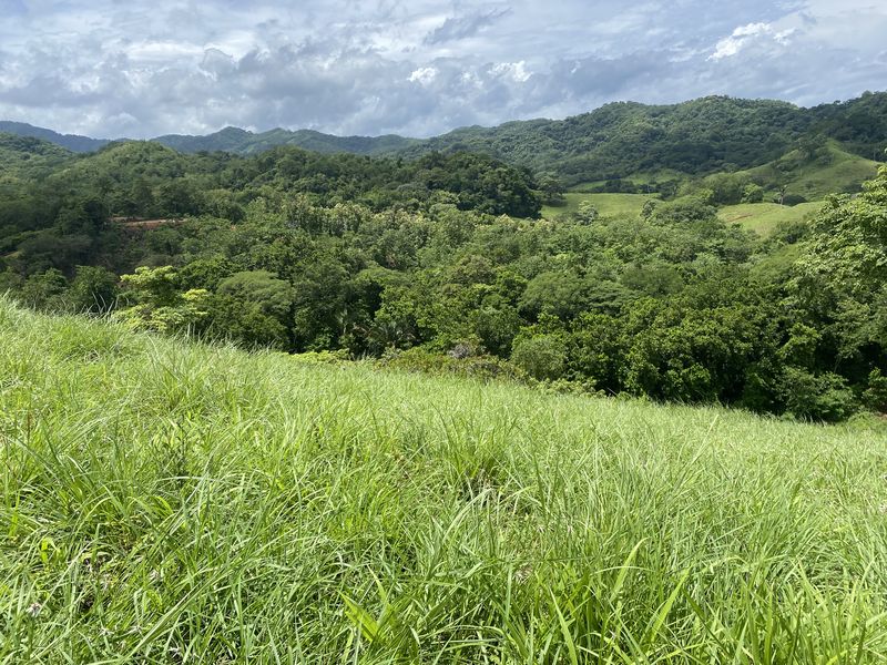 green fields jungle and mountains at Lotes Rio El carmen for sale samara costa rica