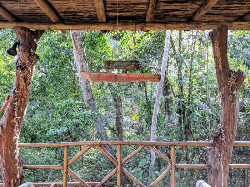 jungle view from balcony at Casa KUPU KUPU luxury home for sale samara Guanacaste Costa Rica