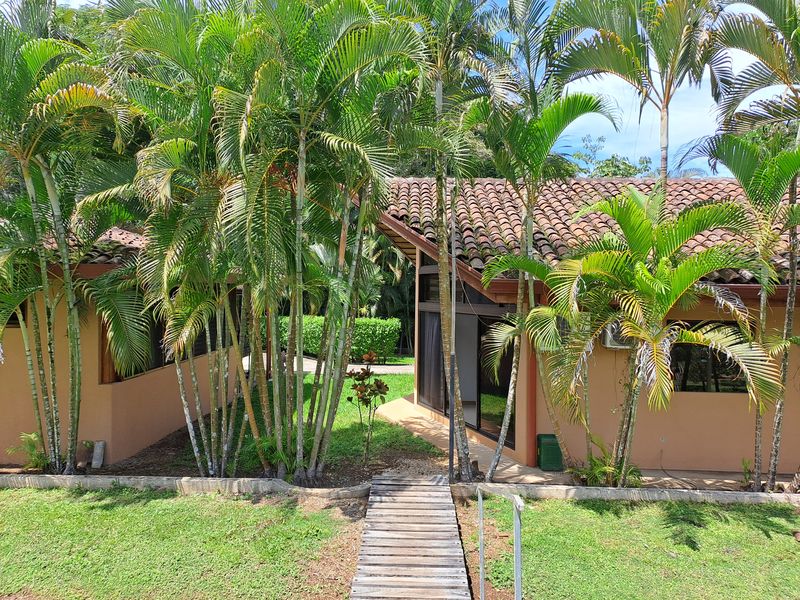 lots of palm trees in Casa Garcia home for sale Samara Guanacaste Costa Rica