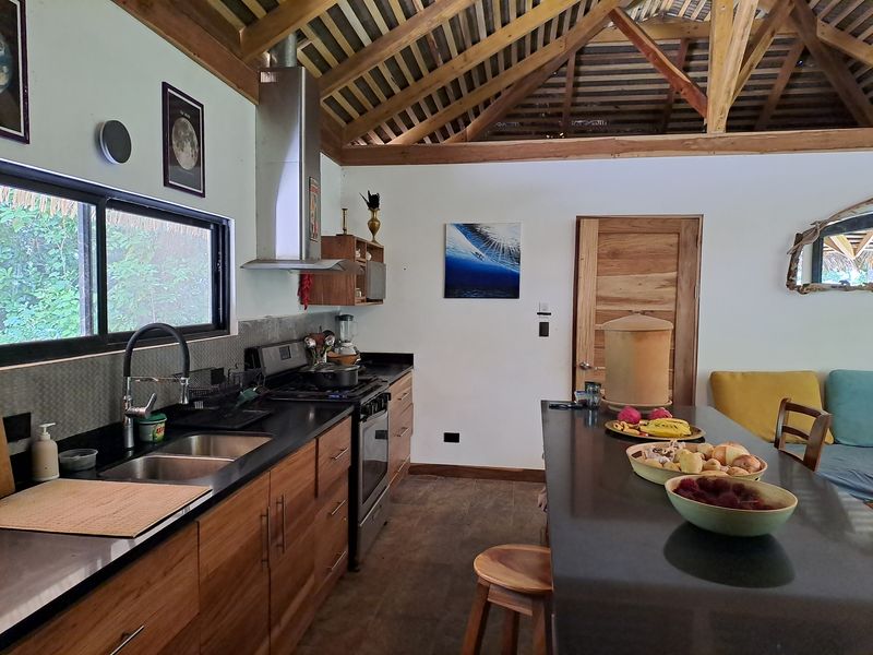 modern full equipped kitchen of Casa Jungle Oasis home for sale Samara Woods Samara Costa Rica