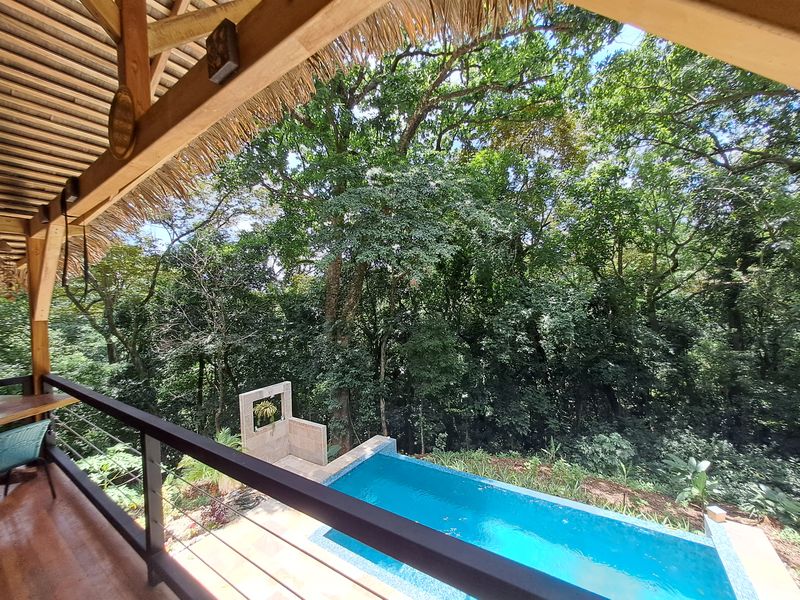 pool view from the balcony of Casa Jungle Oasis home for sale Samara Woods Samara Costa Rica