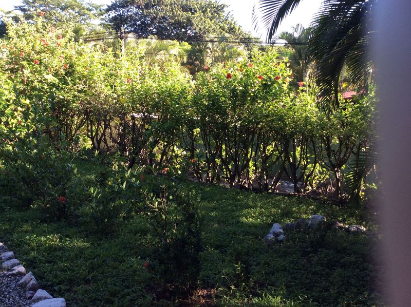 garden view of Casa Surfside home for sale Samara Guanacaste Costa Rica