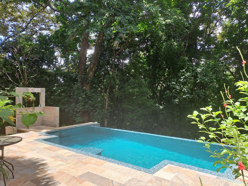 jungle view from the pool of Casa Jungle Oasis home for sale Samara Woods Samara Costa Rica