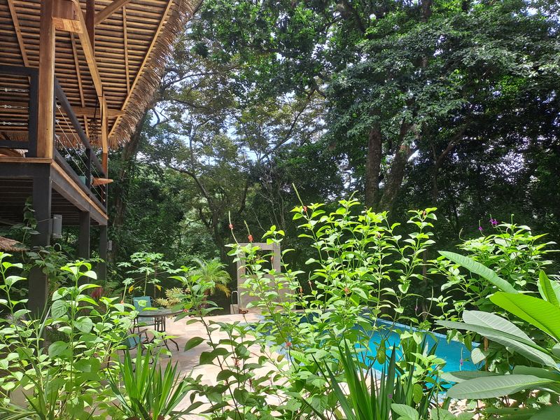 pool immersed in the garden of Casa Jungle Oasis home for sale Samara Woods Samara Costa Rica