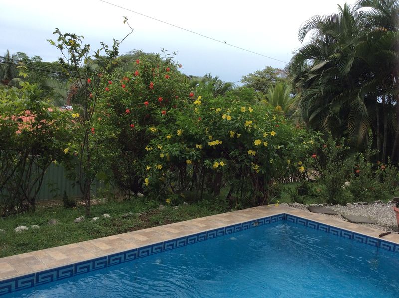 pool surrounded by flowers at Casa Surfside home for sale Samara Guanacaste Costa Rica